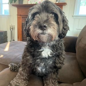 Meet your Posher, Melissa